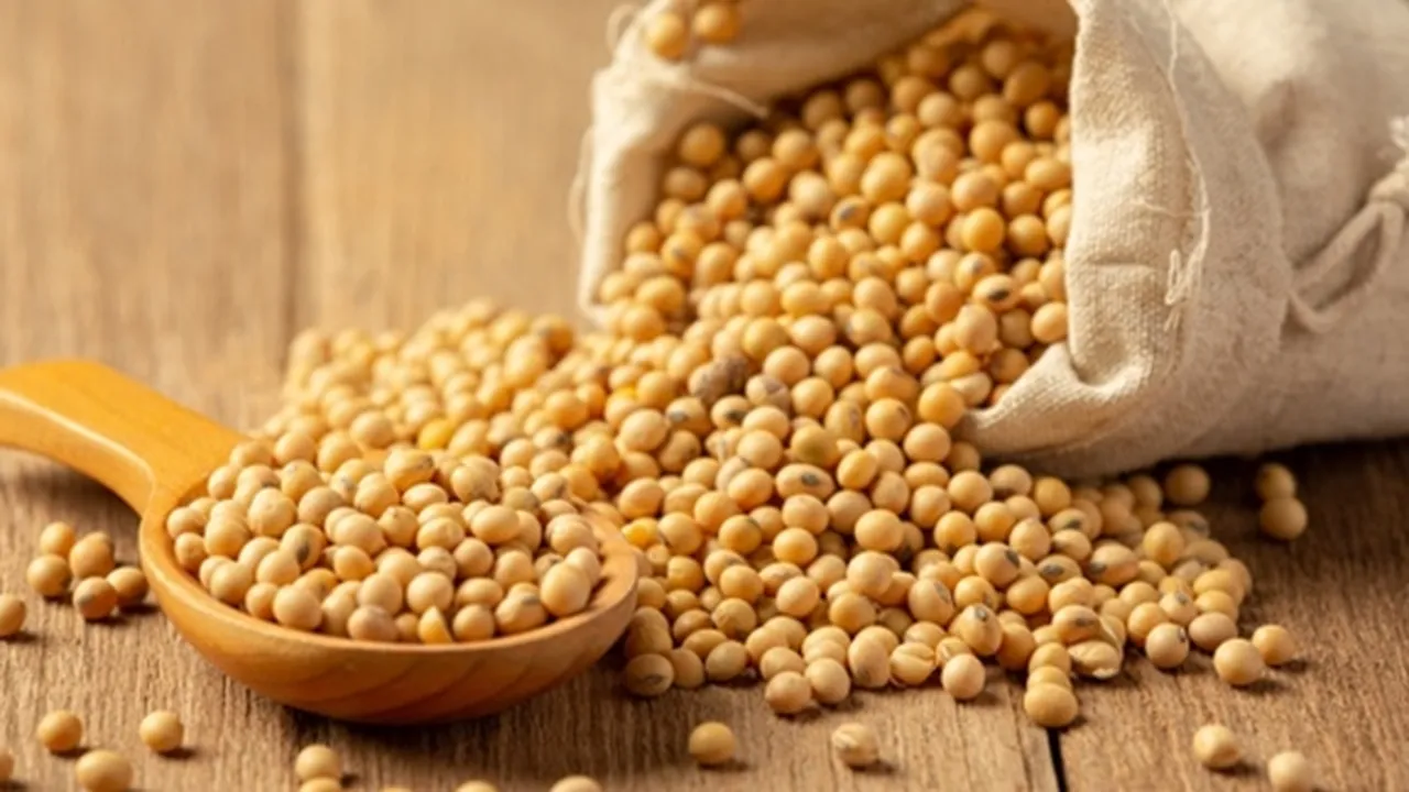 12 Manfaat Kacang Kedelai untuk Kesehatan yang Jarang Diketahui