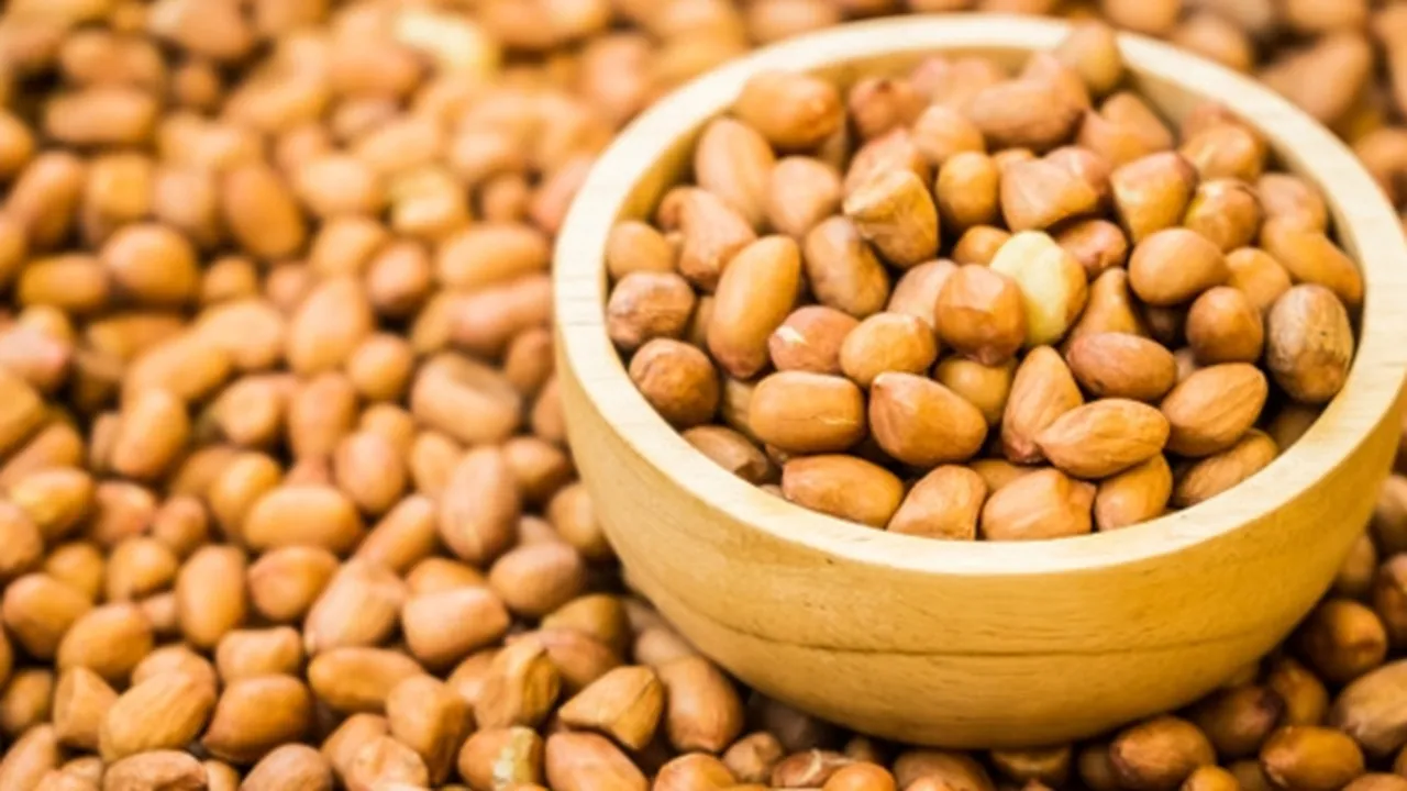 12 Manfaat Kacang Tanah untuk Kesehatan, Jadi Cemilan Diet - Tingkatkan Daya Ingat