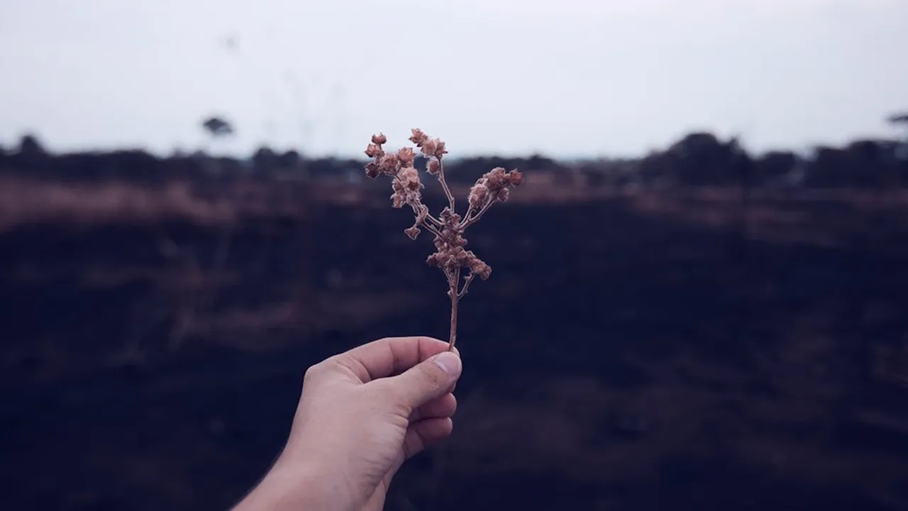350 Kata Kata Sedih Menyentuh Hati yang Mendalam