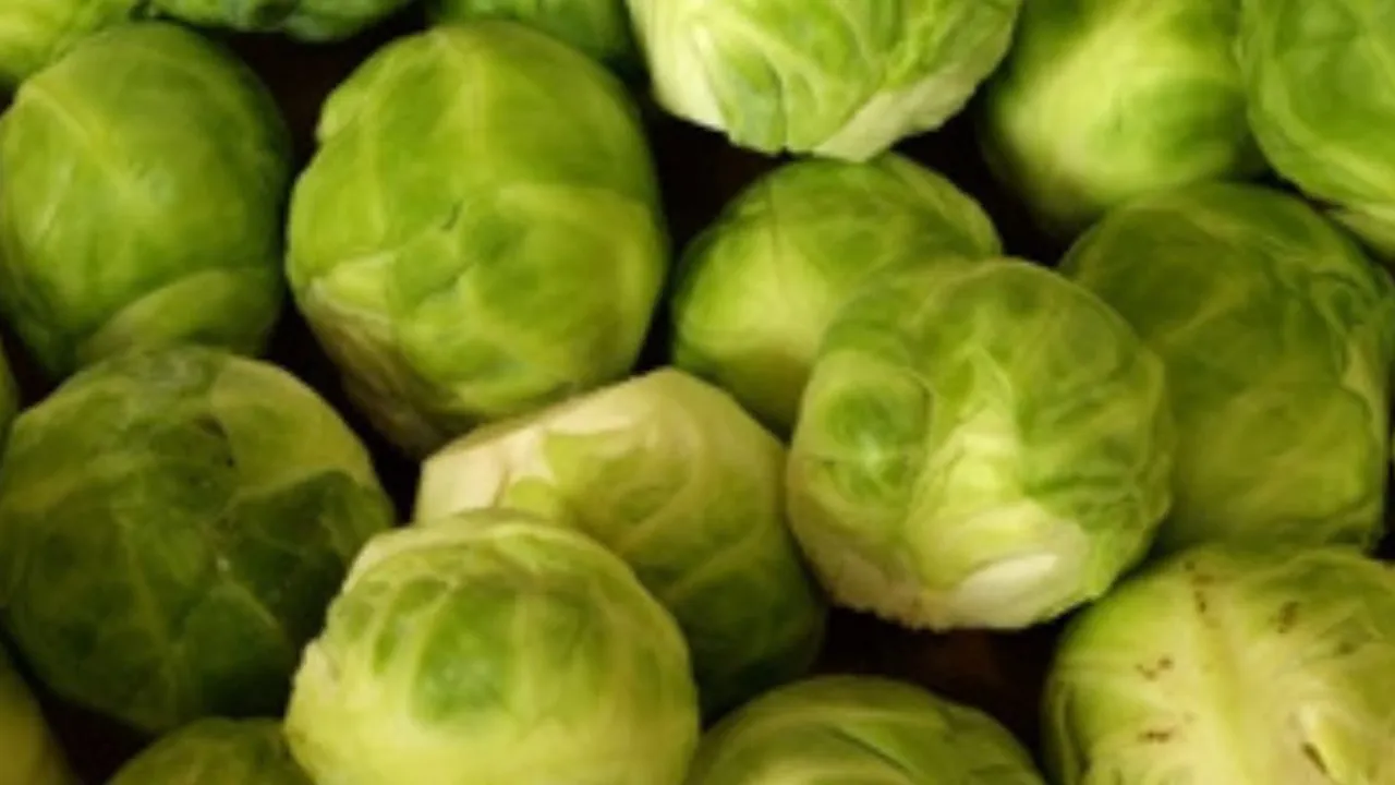 4 Kreasi Sayur yang Wajib Dihindari oleh Penderita Kolesterol