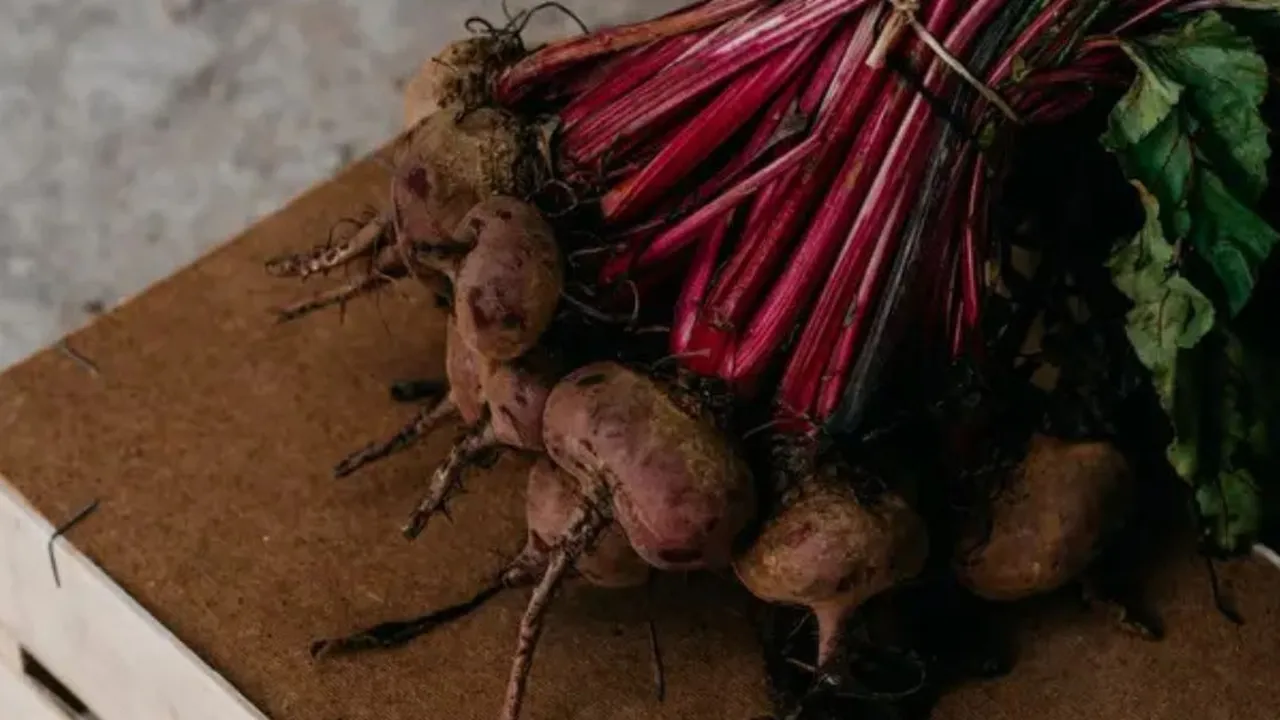 4 Resep Lezat dari Buah Bit yang Ampuh Turunkan Kolesterol