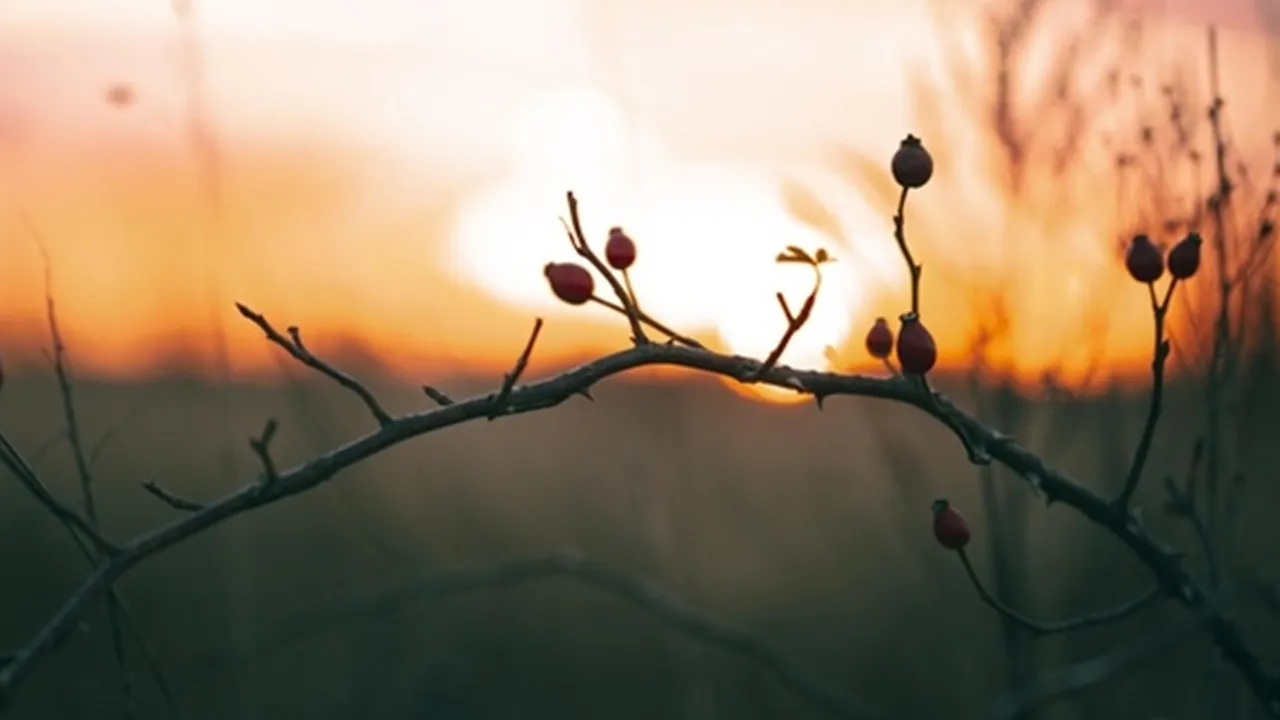 40 Caption IG Tentang Alam yang Keren dan Menyentuh