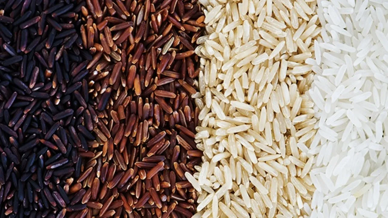 5 Jenis Beras Beserta Ciri dan Manfaat Bagi Kesehatan, Manakah yang Favorit?