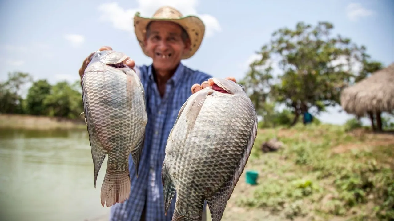 5 Jenis Ikan yang Masuk Red Flag Menurut Chef, Ini Alasan di Baliknya