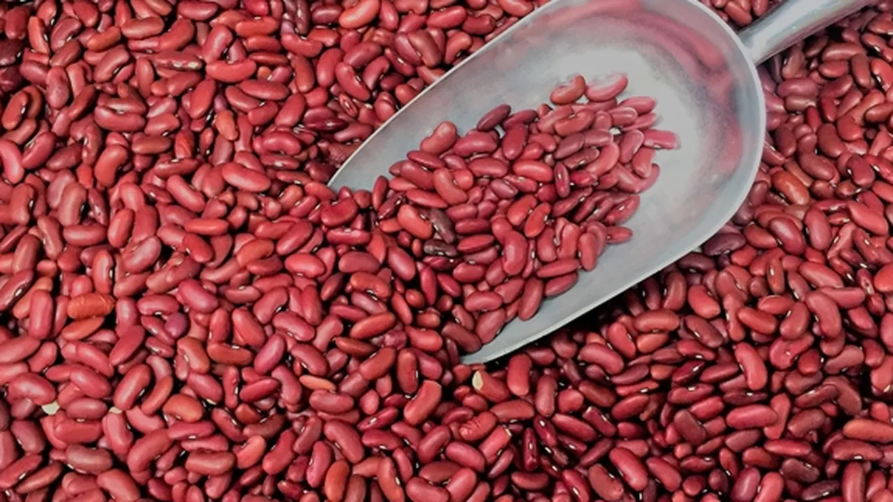 5 Manfaat Kacang Merah untuk Kesehatan, Mencegah Kanker - Melancarkan Pencernaan