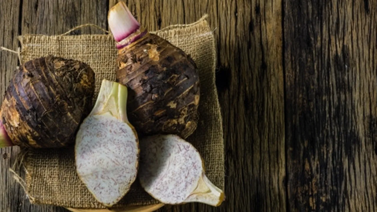 5 Manfaat Talas Bagi Kesehatan Tubuh, Menjaga Kadar Gula - Memberi Nutrisi Tulang