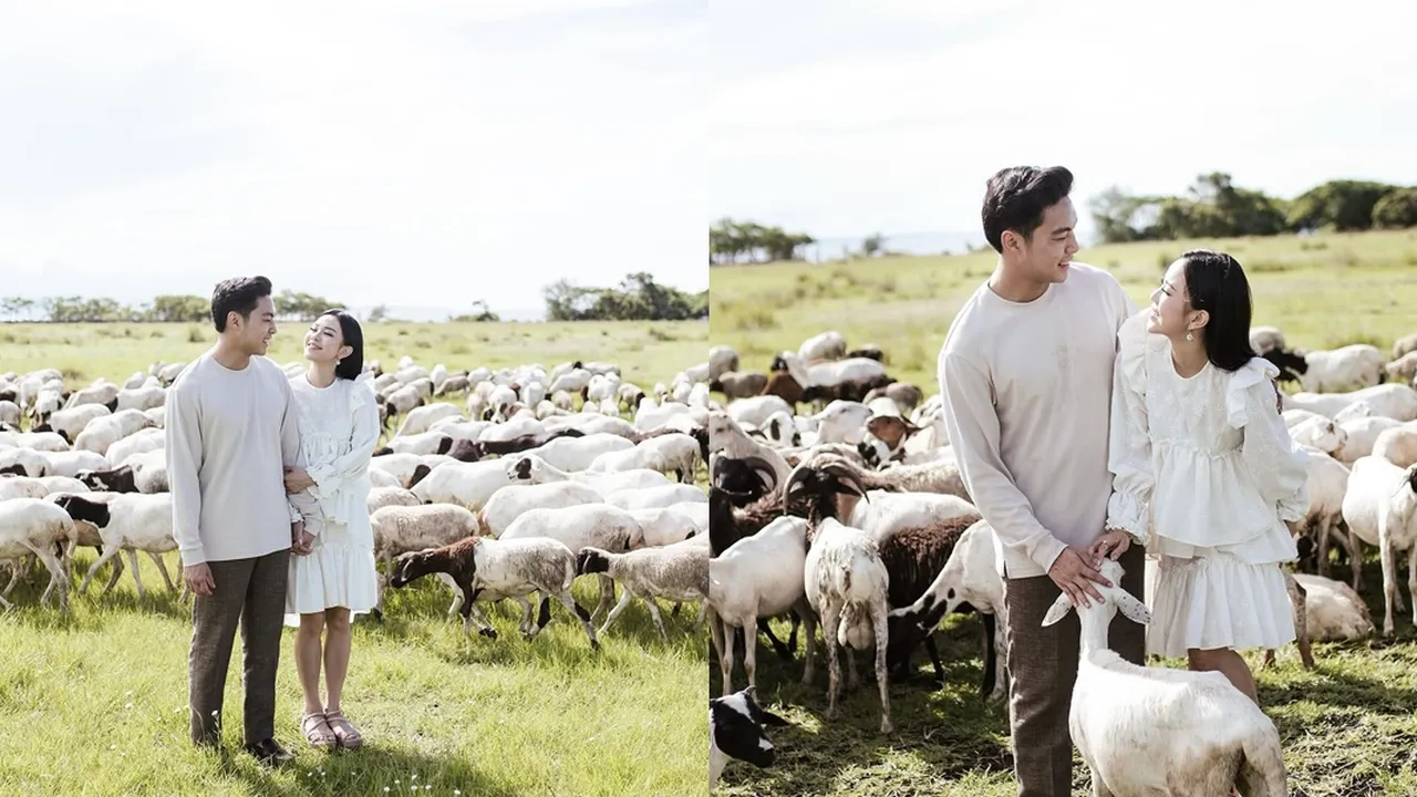 5 Potret Prewedding Jessica Jane dan Erwin Phang Dikelilingi Domba, Tampil Serasi dan Mesra 5 Potret Prewedding Jessica Jane dan Erwin Phang Dikelilingi Domba, Tampil Serasi dan Mesra
