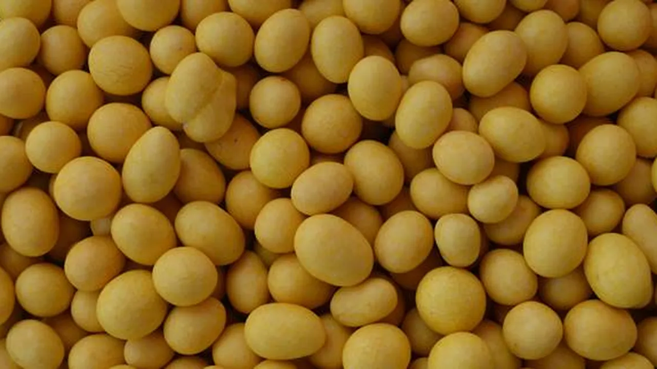 5 Resep Kacang Telur Gurih dan Renyah, Cocok Jadi Cemilan Hari Raya Idul Fitri