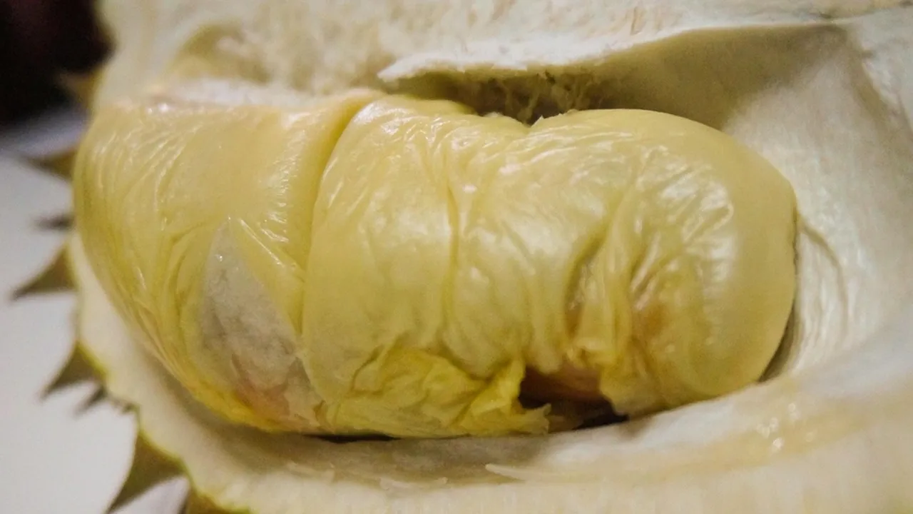 5 Resep Kreasi Ketan Duren untuk Camilan dan Hidangan Spesial Bagi Keluarga