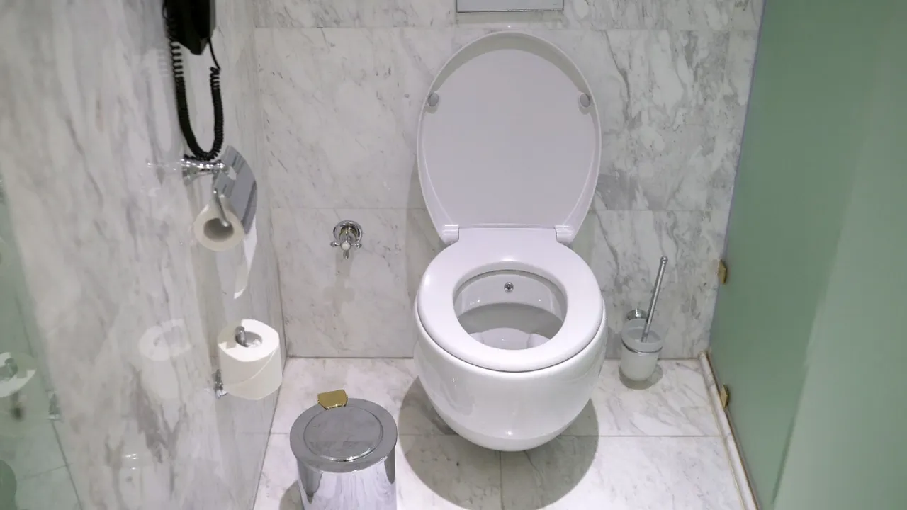 5 Risiko Kesehatan Akibat Kebiasaan Main Ponsel di Toilet, Apa yang Perlu Anda Ketahui?