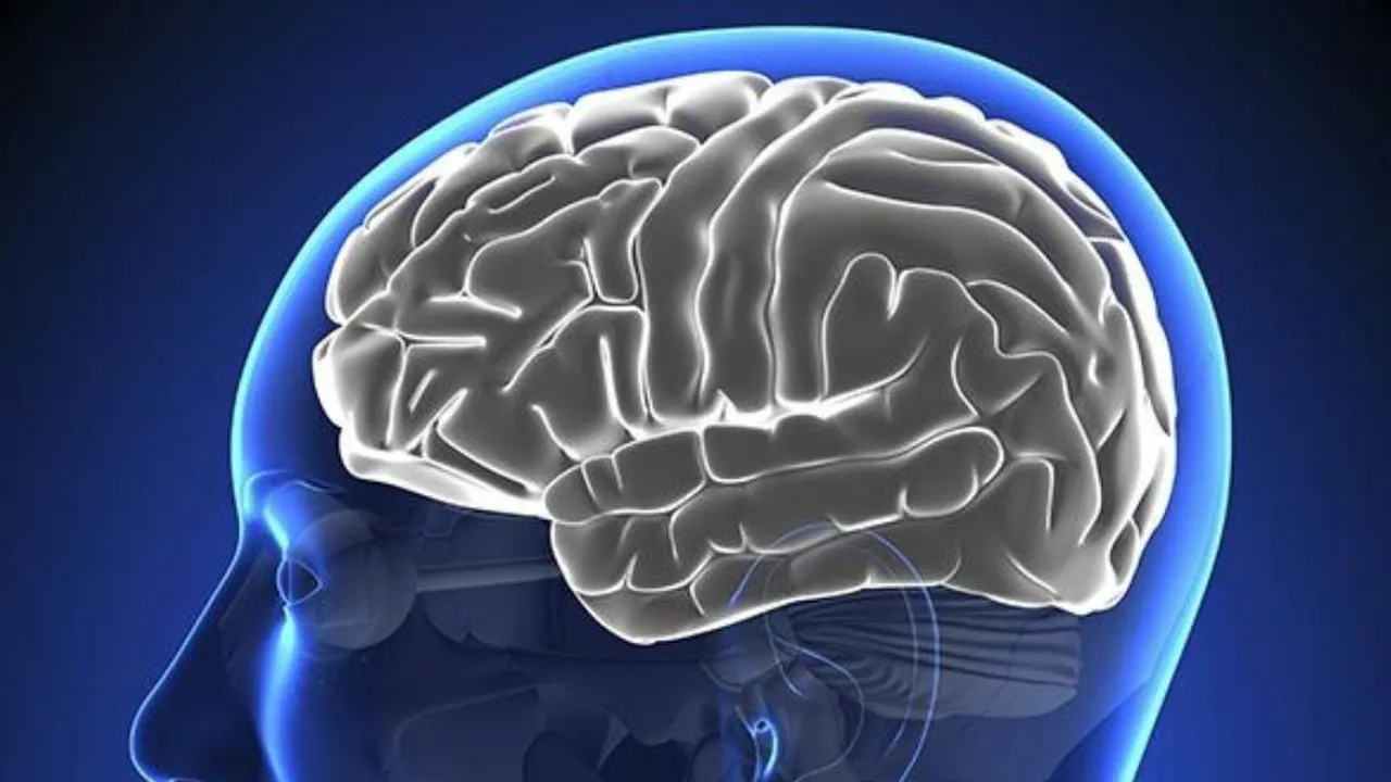 5 Strategi Ampuh untuk Menurunkan Risiko Stroke Melalui Gaya Hidup Sehat!
