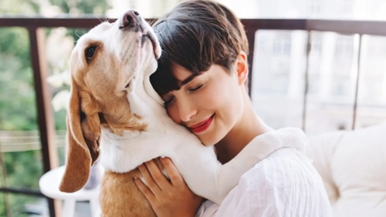 59 Kata-Kata Tentang Anjing yang Penuh Makna, Si Hewan Pintar dan Setia