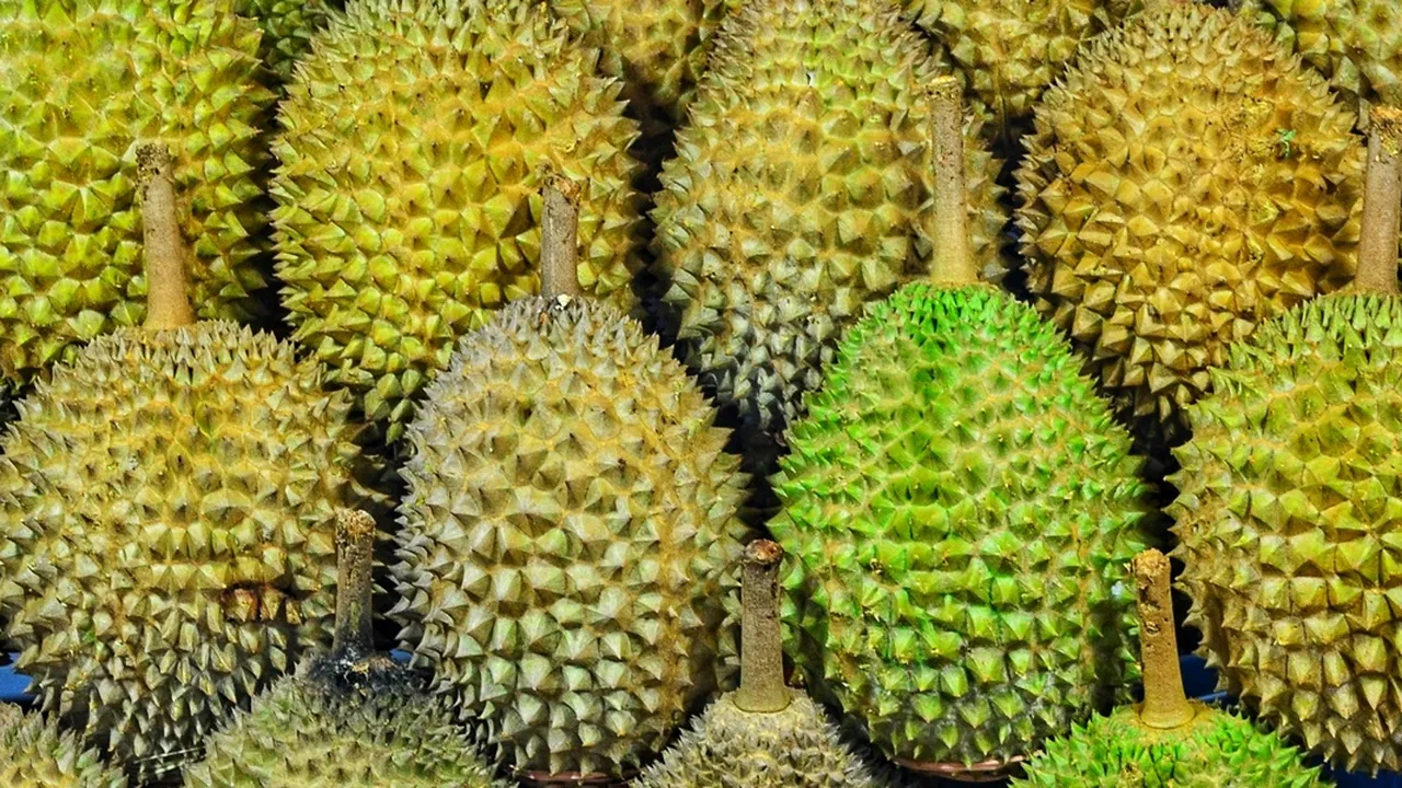 6 Arti Mimpi Makan Durian, Bawa Banyak Pertanda Baik dalam Kehidupan Nyata