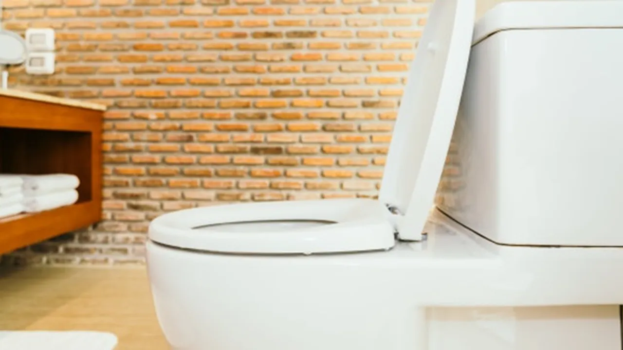 6 Cara Mengatasi WC Mampet di Rumah, Mudah Tanpa Bongkar
