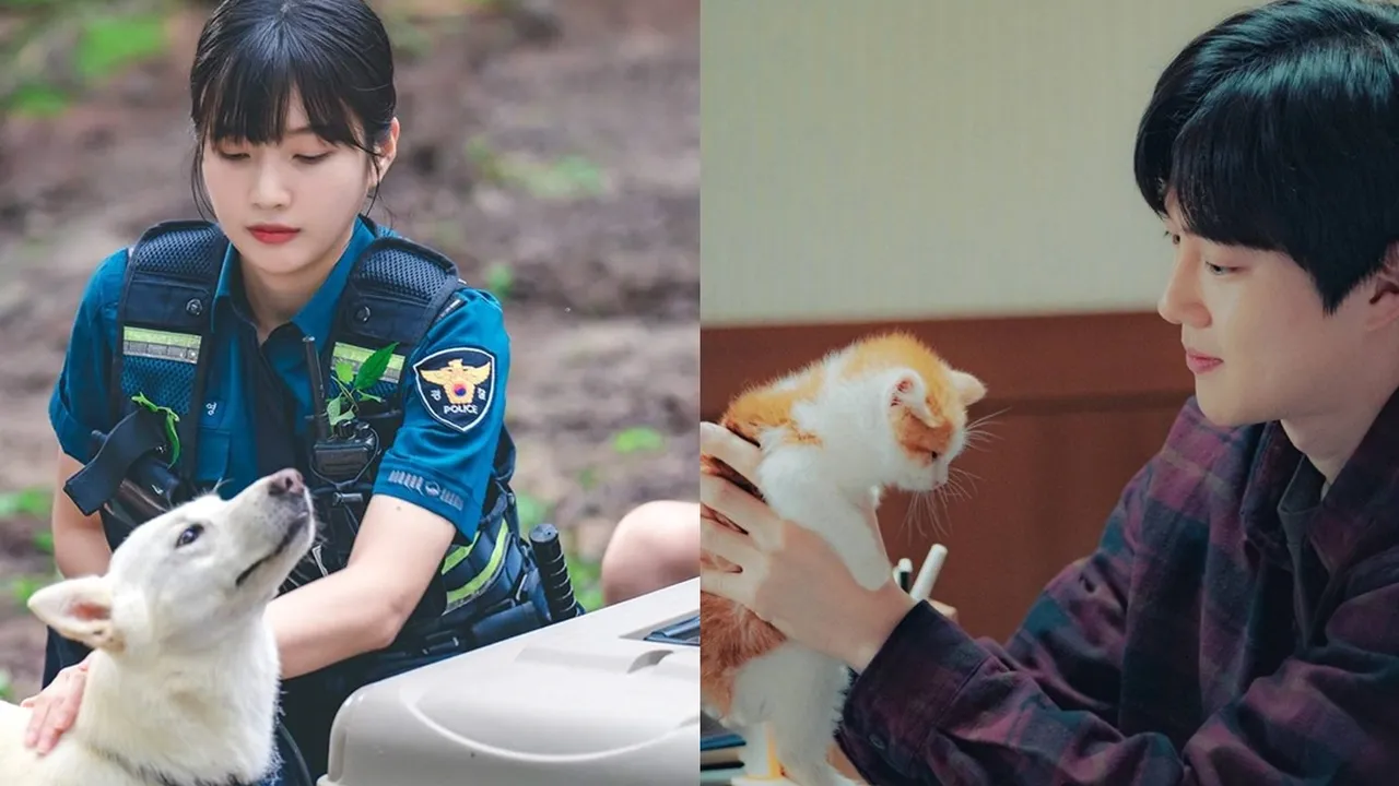 6 Drama Korea tentang Hewan di Sepanjang Cerita - Sukses Bikin Gemas Penonton