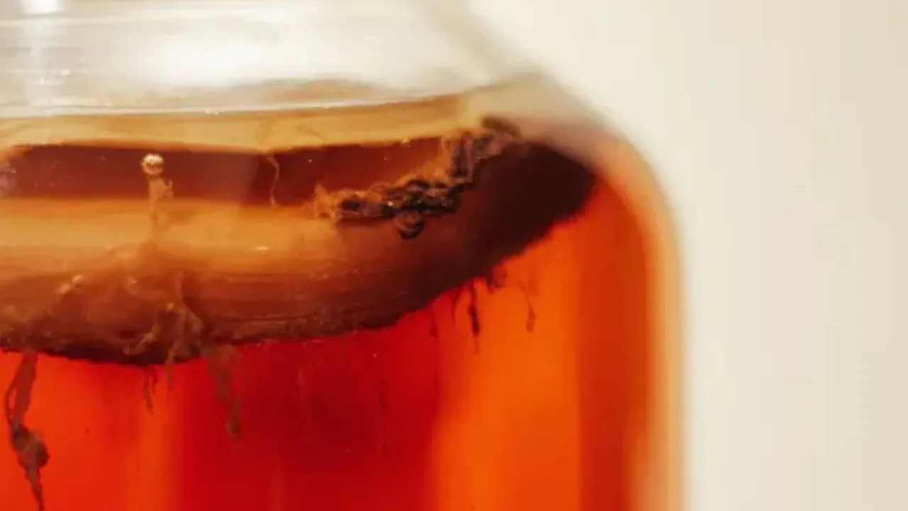 6 Keajaiban Teh Kombucha, Solusi Alami untuk Menurunkan Kolesterol