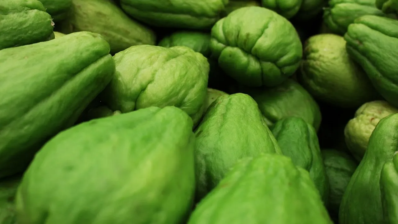 6 Kreasi Sayur Bening Labu Siam: Segar, Sehat, dan Menggugah Selera