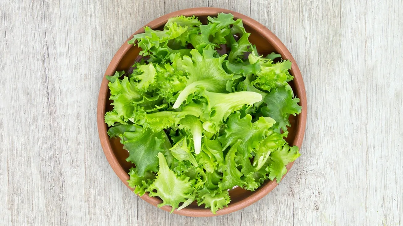 6 Resep Sayur Lettuce yang Praktis, Lezat dan Bergizi
