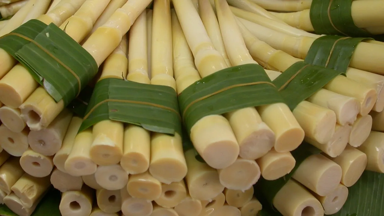 6 Resep Sayuran Rebung yang Lezat, Bisa Jadi Berbagai Sajian Menggugah Selera
