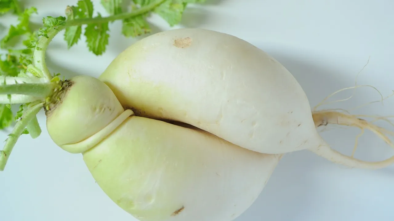 6 Resep Sayur Lobak yang Lezat dan Bergizi, Mudah Dibuat dengan Bahan-Bahan Sederhana