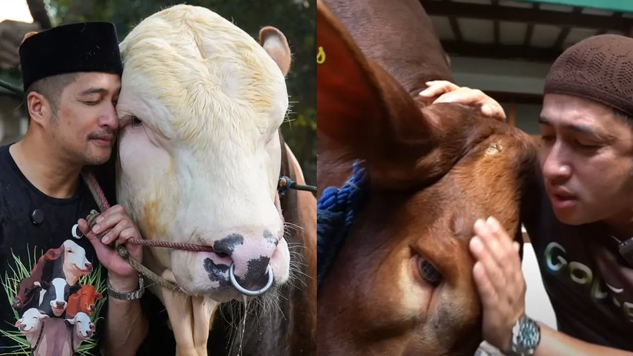6 Sapi Kurban Irfan Hakim, Selain Janoko Siapa yang Bikin Kamu Nangis Brutal?