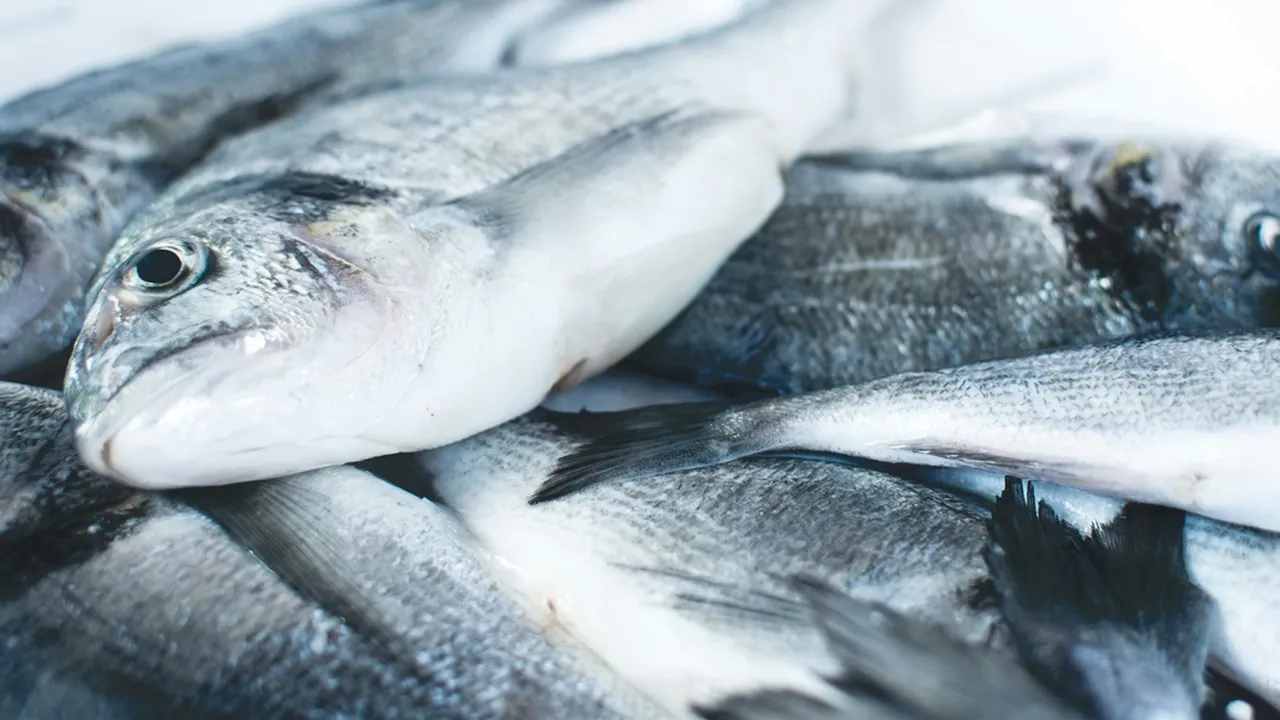 7 Arti Mimpi Ikan Banyak Mati, Punya Makna Spiritual yang Mendalam