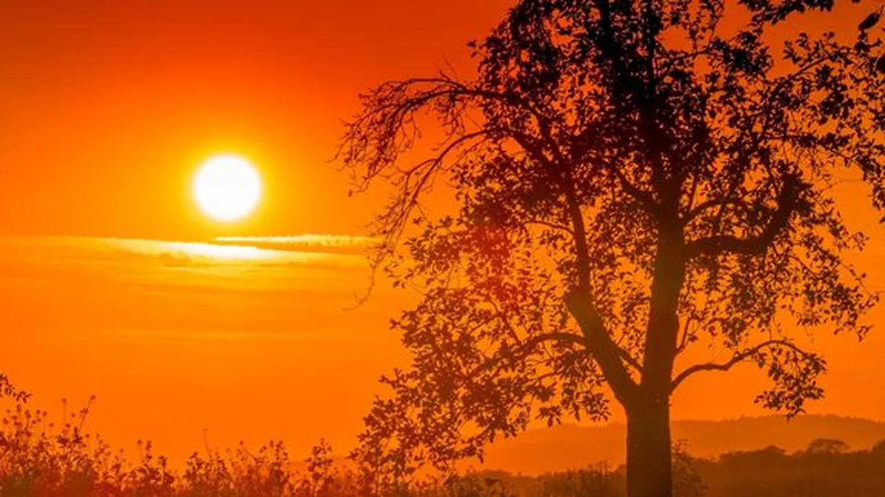 7 Arti Mimpi Melihat Matahari, Jadi Pertanda Baik dan Buruk Soal Karir - Keuangan