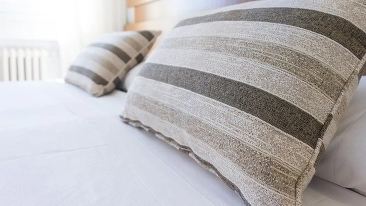 7 Cara Membasmi Kutu Kasur dengan Mudah, Bisa Perbaiki Kualitas Tidur