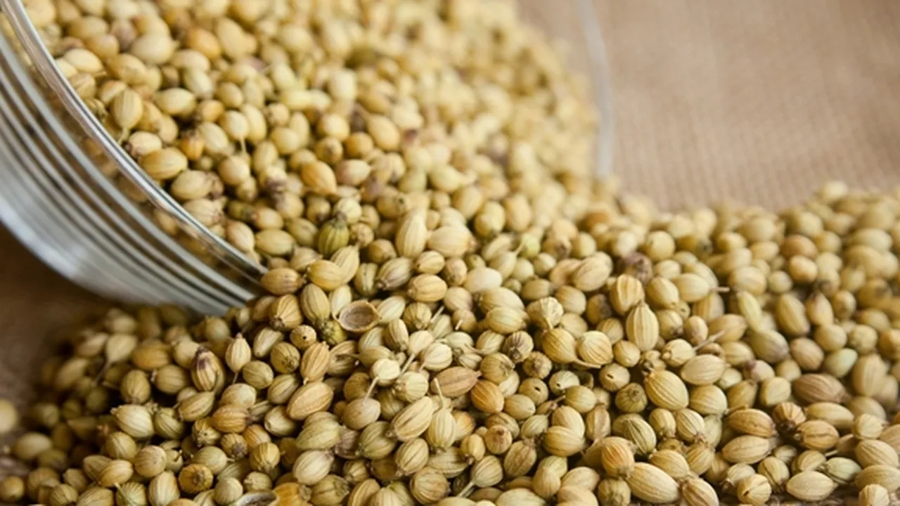 7 Manfaat Air Ketumbar untuk Kesehatan, Minuman Herbal Bantu Atasi Berbagai Penyakit