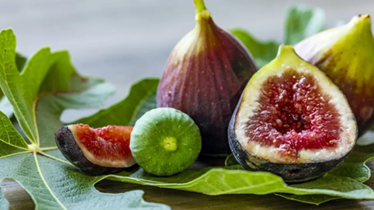 7 Manfaat Daun Tin untuk Kesehatan Tubuh, Bisa Jadi Teh Herbal yang Enak