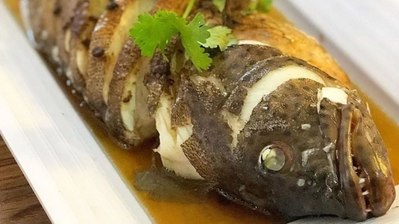 7 Manfaat Ikan Kerapu Bagi Kesehatan, Mengurangi Depresi - Meningkatkan Kecerdasan Otak