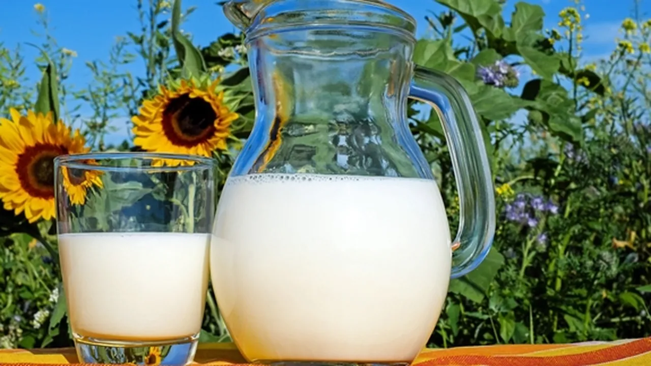 7 Manfaat Susu saat Diminum Dingin Maupun Hangat