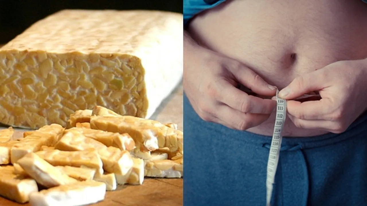 7 Manfaat Tempe Bagi Tubuh, dari Kesehatan - Kecantikan