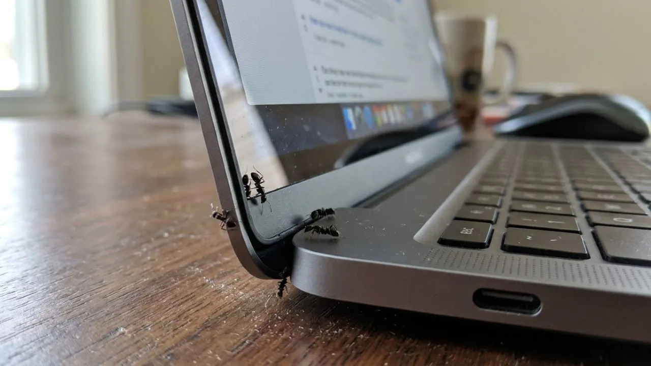 7 Penyebab Semut Masuk Monitor Laptop dan Cara Mengatasinya Tanpa Membongkar Layar