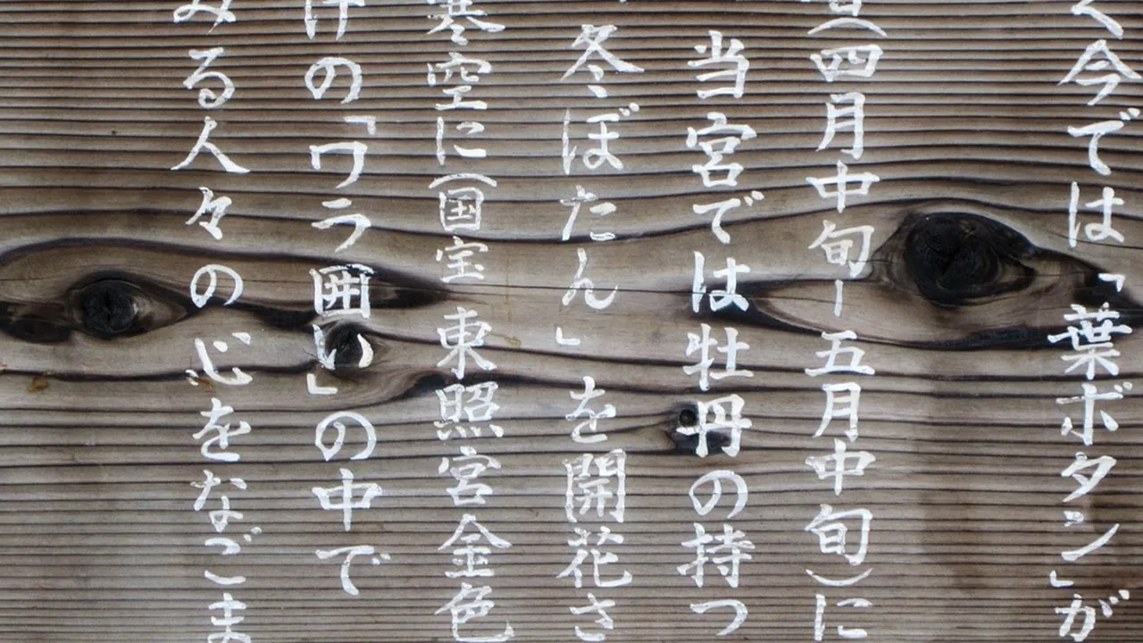 7 Pola Kalimat Bahasa Jepang Lengkap dengan Contohnya yang Wajib Diketahui Para Pemula