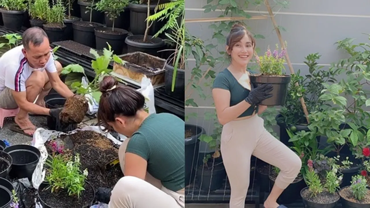 7 Potret Keseruan Ayu Ting Ting dan Sang Ayah Ketika Berkebun, Perlihatkan Wajah Natural dan Penuh Candaan