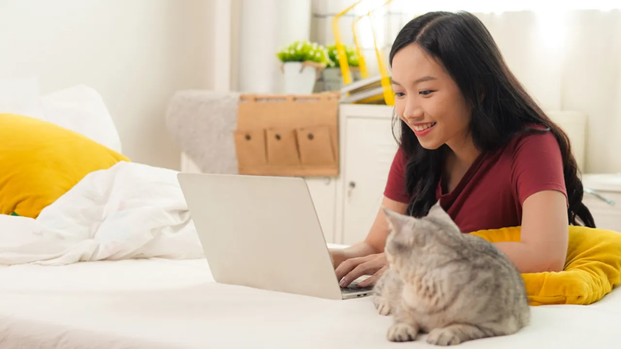 7 Ras Kucing Lucu yang Cocok Jadi ‘Teman Hidup’ Biar Nggak Kesepian di Kos-Kosan
