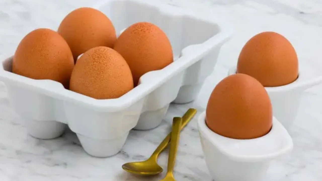 7 Resep Telur Kreatif dengan Sayuran, Praktis dan Penuh Rasa!