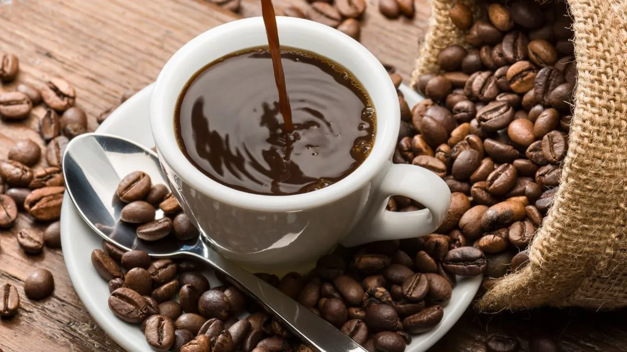 8 Varietas Kopi Terbaik dari Indonesia yang Harus Kamu Cicipi, Rasanya Mendunia dan Menggoda!