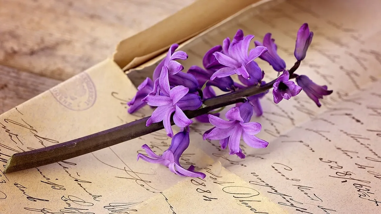 8 Contoh Surat untuk Hari Ibu yang Menyentuh, Bisa Jadi Inspirasi Kado Termanis