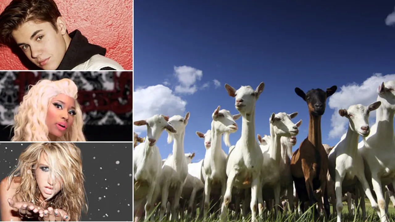 8 Goat Remix Terbaik Yang Bikin Kita Tertawa
