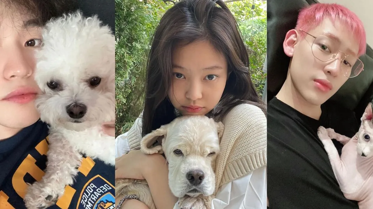 8 Hewan Peliharaan Idol K-Pop yang Mencuri Perhatian Penggemar