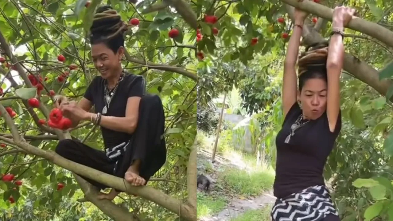 8 Jenis Pohon Buah Super Cepat Panen untuk Kebun Impian Anda!
