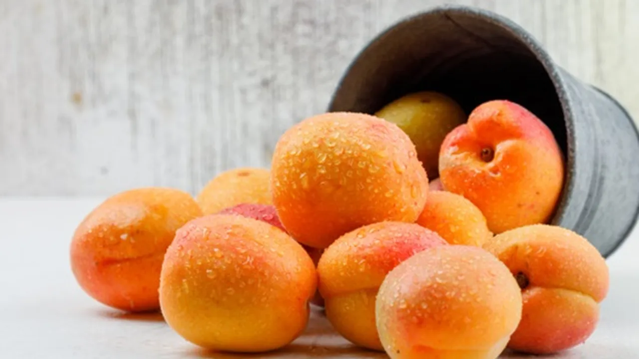 8 Manfaat Buah Aprikot untuk Tubuh, Bisa Sehatkan Mata - Pencernaan