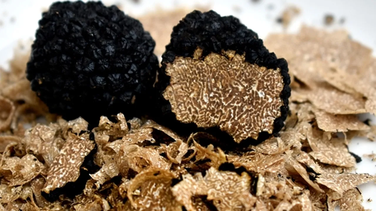 8 Manfaat Jamur Truffle, Harga Selangit Tapi Sembuhkan Macam Penyakit