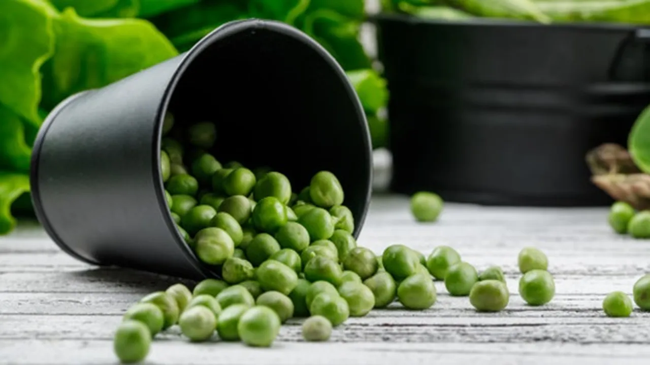 8 Manfaat Kacang Polong untuk Kesehatan Tubuh Bagian Dalam - Kecantikan