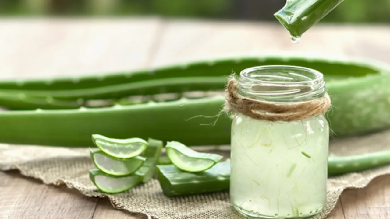 8 Manfaat Krim Lidah Buaya untuk Wajah, Ketahui Juga Cara Pakainya dengan Tepat