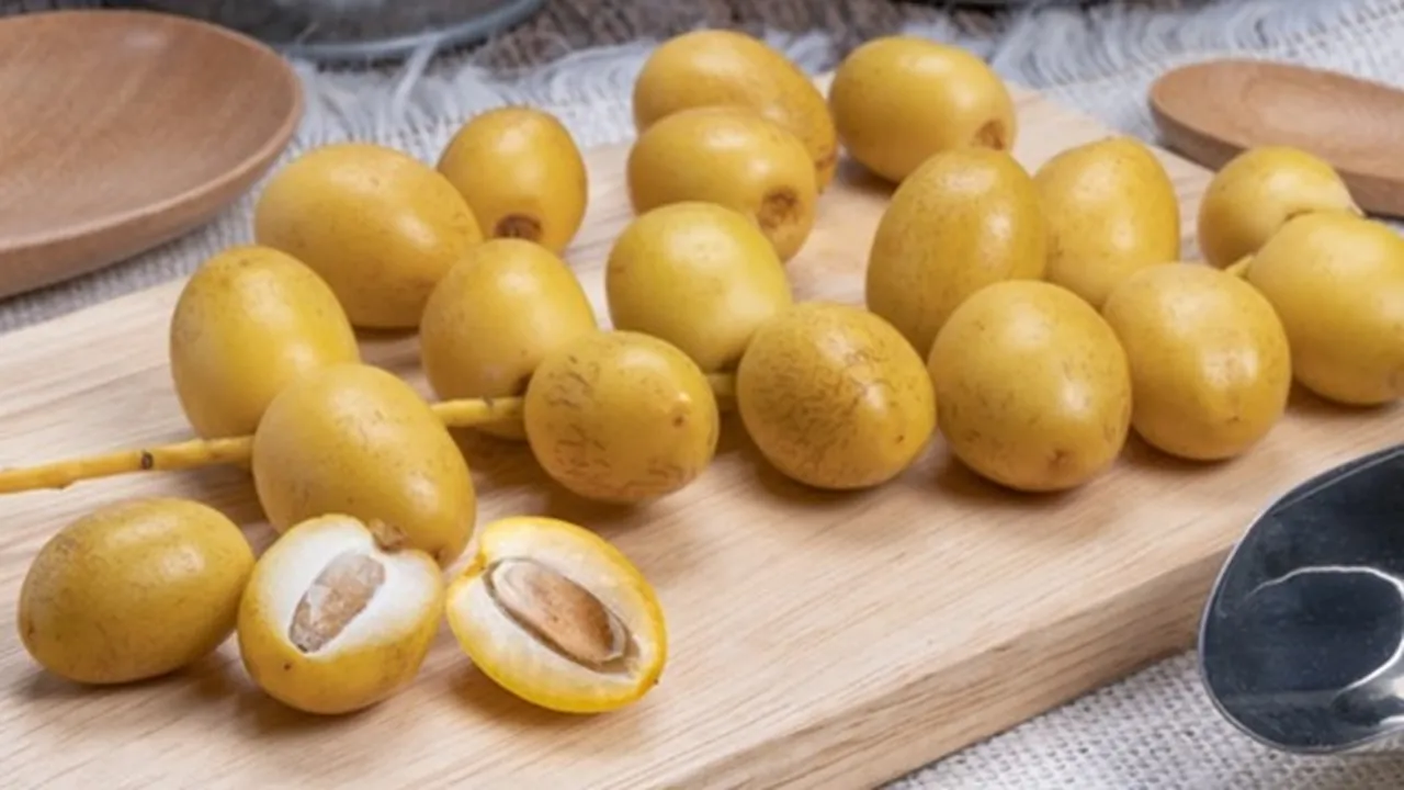 8 Manfaat Kurma Muda yang Luar Biasa Bagi Tubuh, Baik Bagi Ibu Hamil