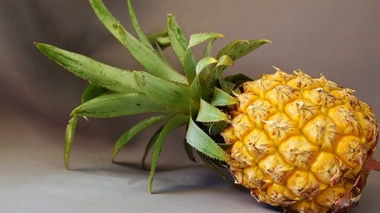 8 Manfaat Nanas untuk Kesehatan dan Kecantikan, Bisa Cegah Jerawat - Kanker