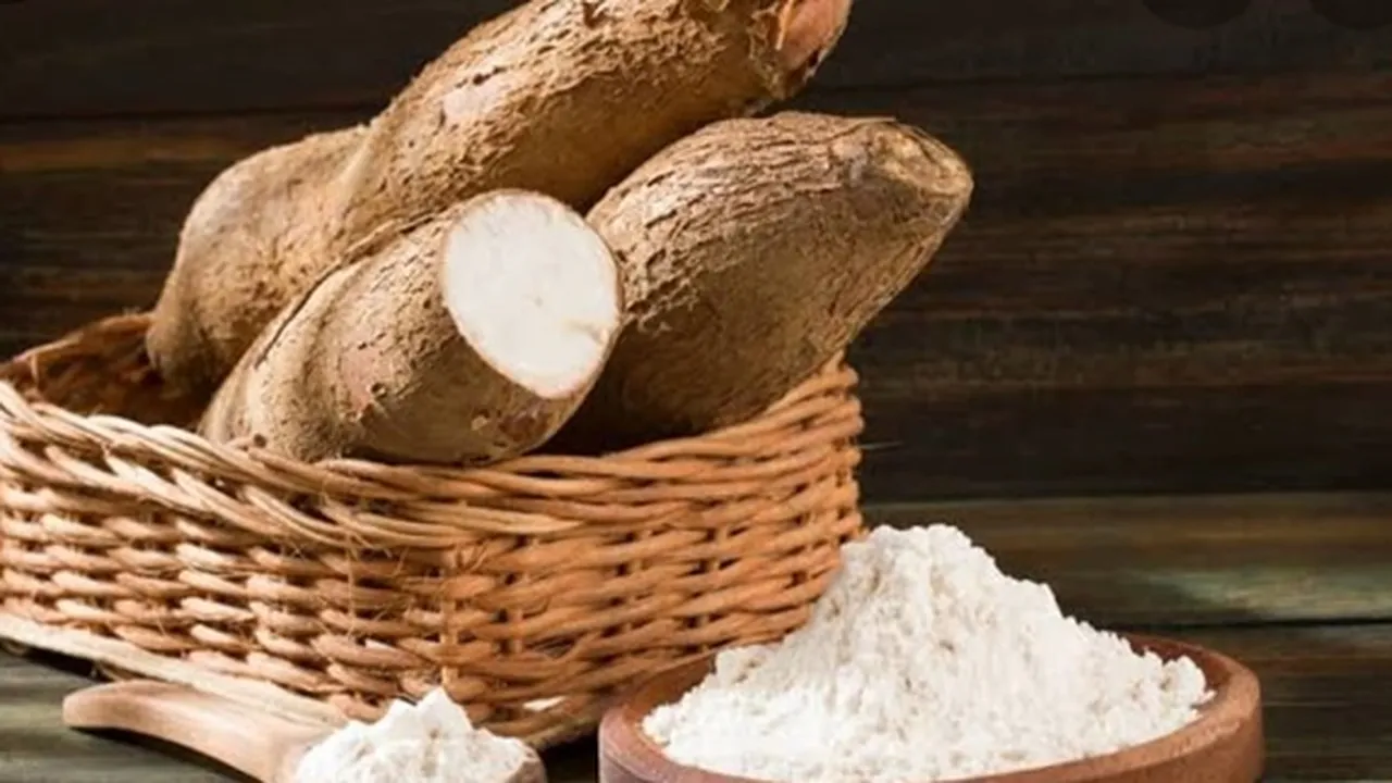 8 Manfaat Singkong Bagi Kesehatan, Mengatasi Rematik - Turunkan Berat Badan